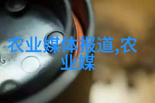 茶叶的演变发展历史从古代的红宝石到现代的多样化选择我如何品味千年的香醇记忆