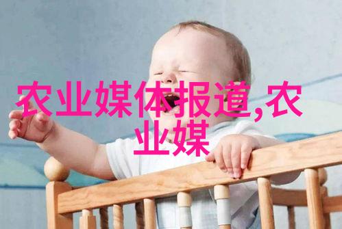 农村养牛致富经验揭秘高收益的牲畜养殖秘诀