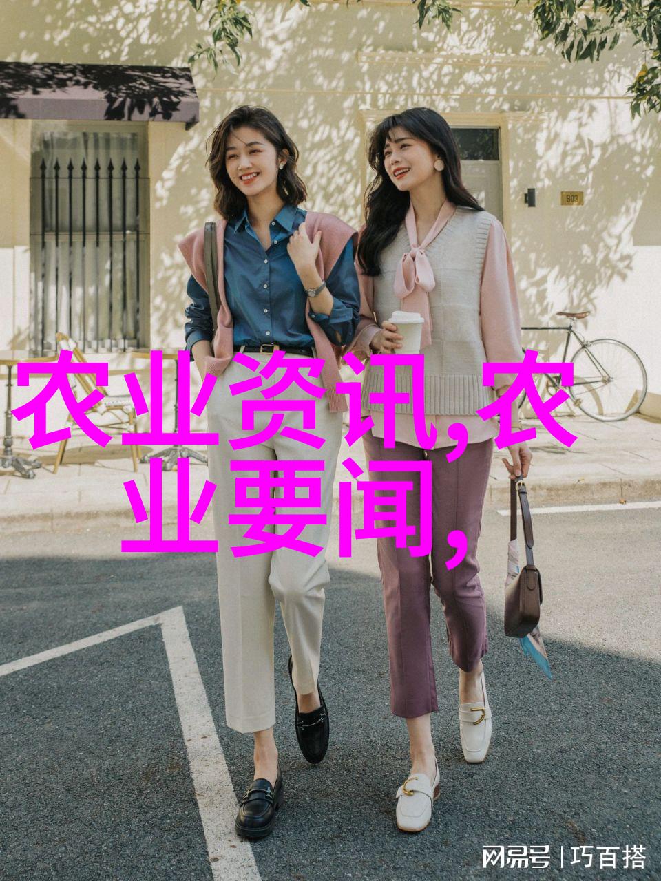 菊竹
