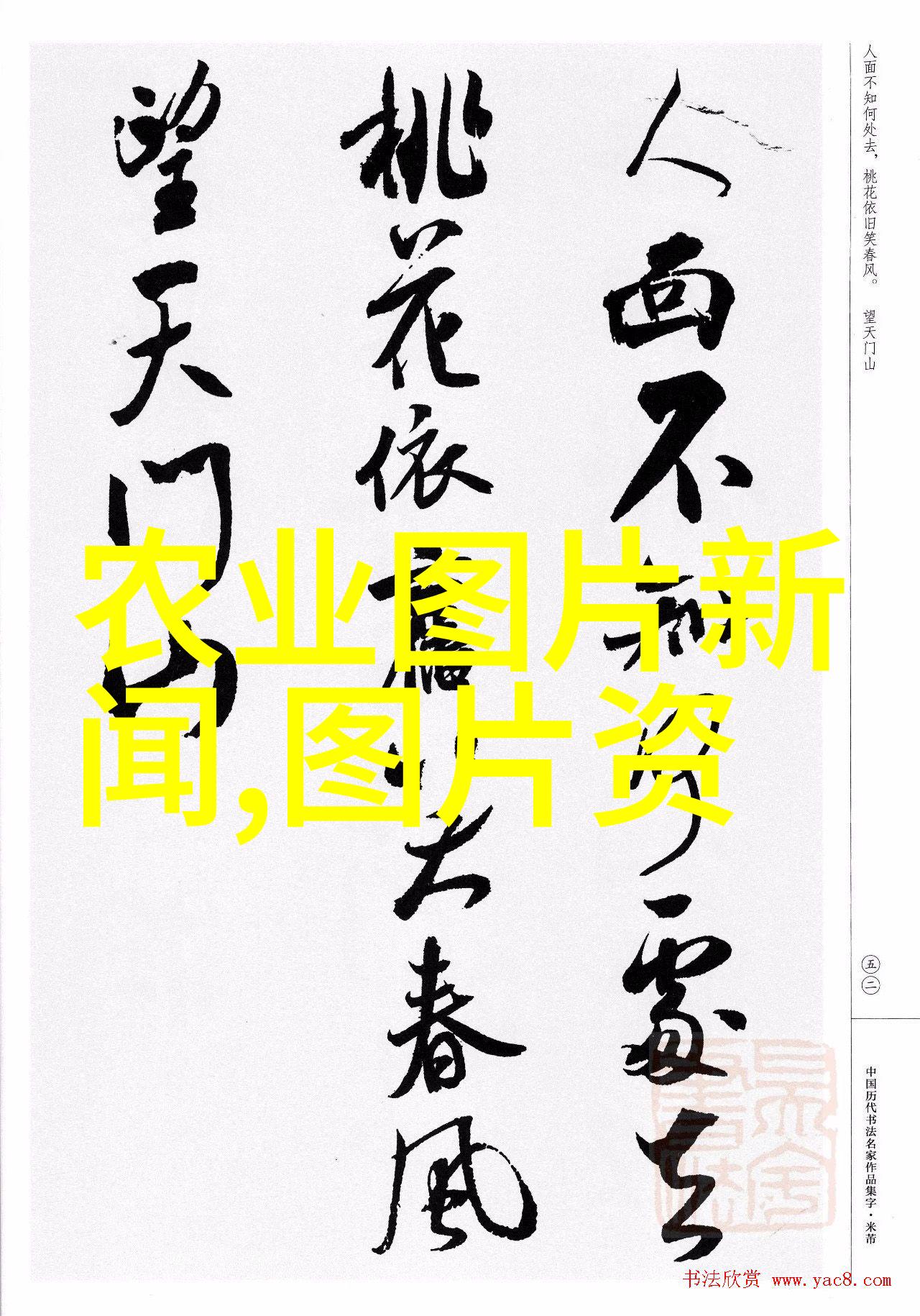 相依为命的温暖之旅