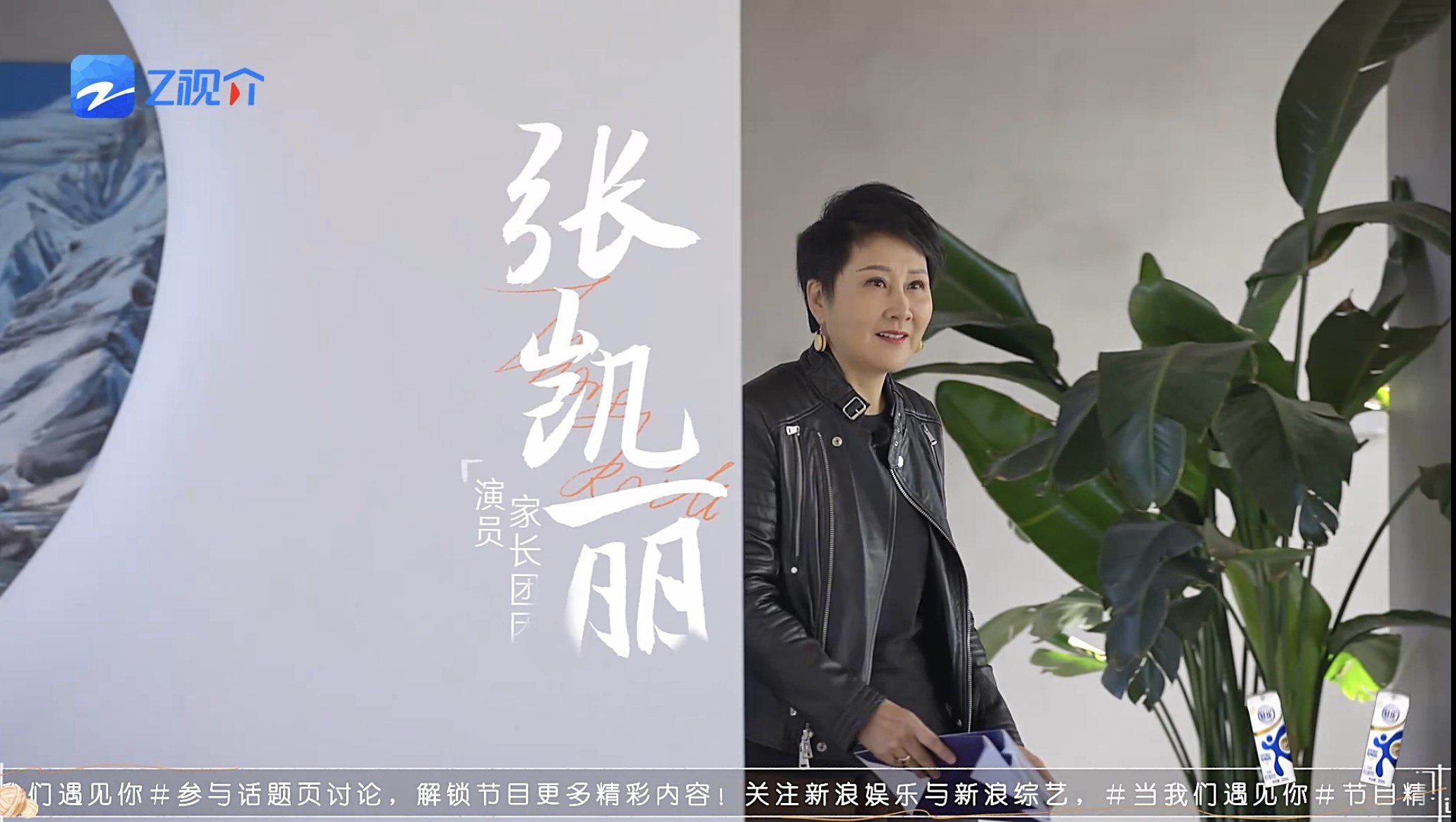 苗木百科园艺中的翘楚