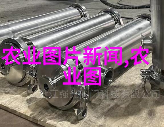 蜂蜜的制作过程与工艺秘诀