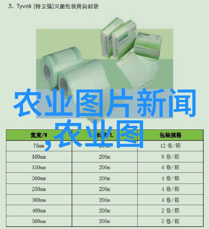 春季到秋季全年蔬菜种植时间表指南