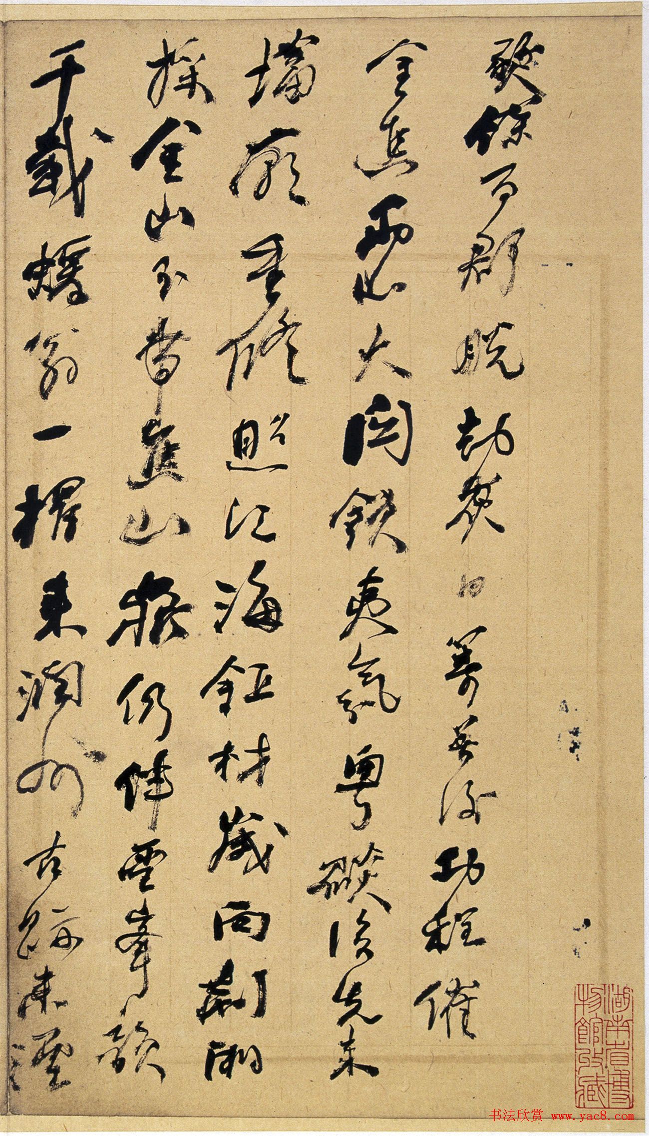 家庭花园的基本运作步骤简介