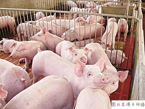 农业报道稿件_农业媒体报道_农业媒体有哪些