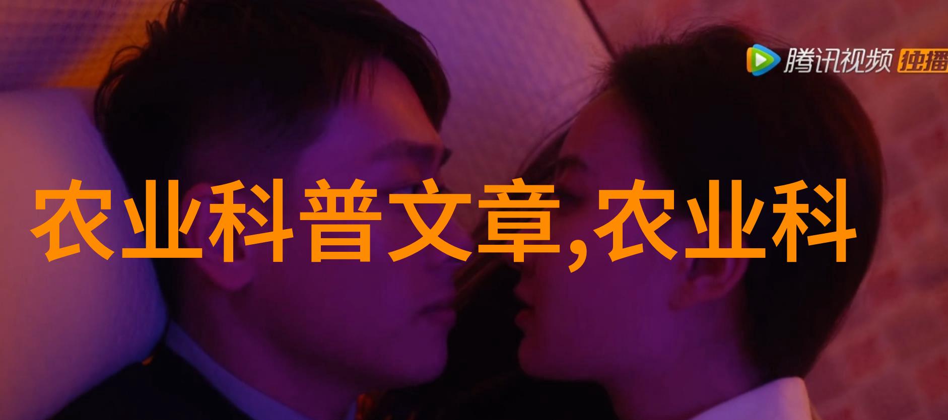 园艺小物-10公分美国红枫树的经济价值价格与收藏热潮