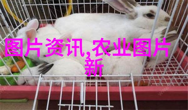 生物多样性的象征揭秘世界上最奇异的十大罕见植物