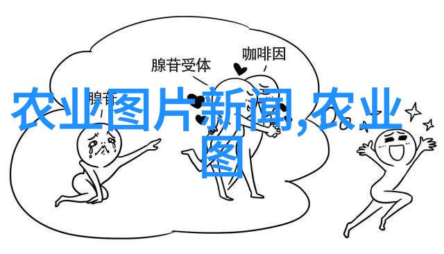 宝鉴天下揭秘古代神秘之宝的传说与实录