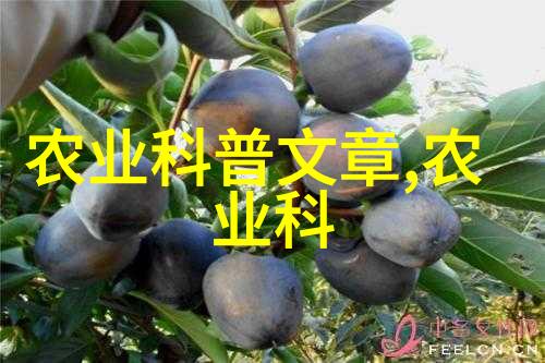 绿植花卉图片大全美丽园艺植物全景