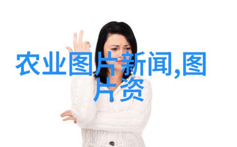 15一18的红果冬青树园艺爱好者的新宠