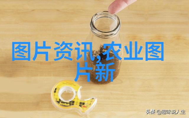 种子里的未来探索带种子的水果图片中的故事