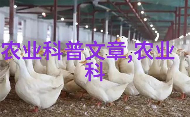 从亩产80万元的姜到乡村振兴的故事