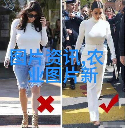 蛙声绽放林蛙养殖技术的秘诀与实践