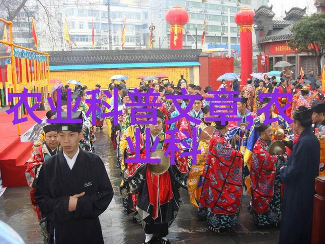 常见花卉病虫害防治指南