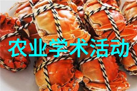 067A4528_副本.jpg