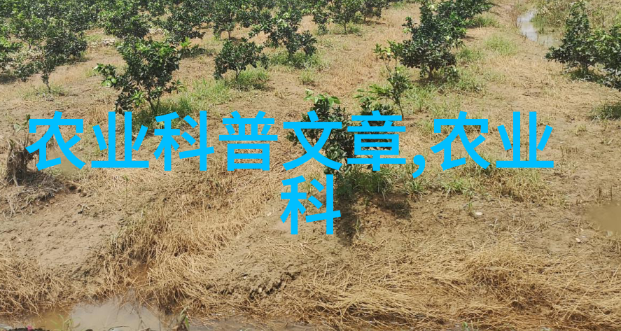 环保家园如何选择和养护健康的果树苗