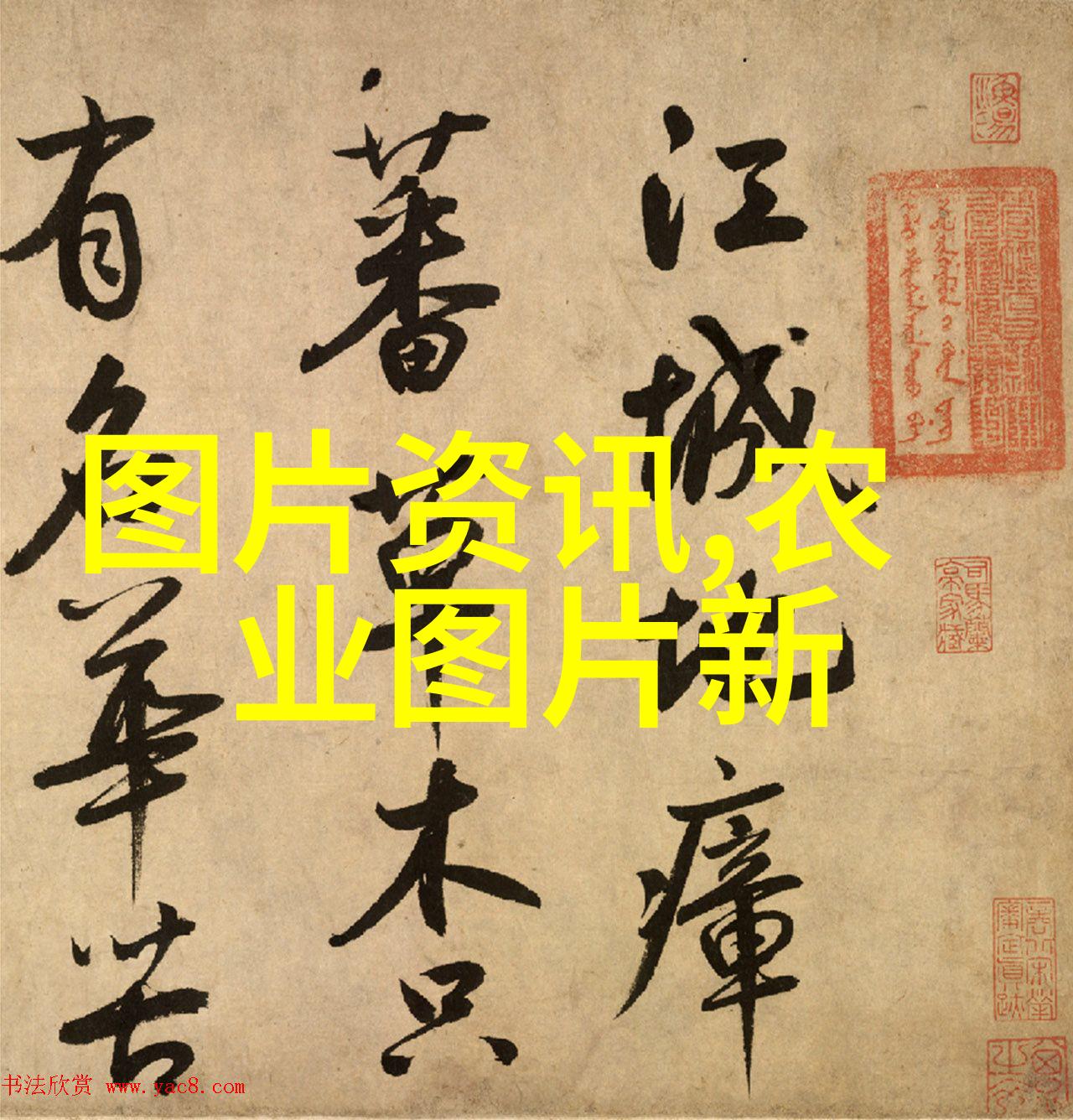 红枫8公分的甜蜜价格