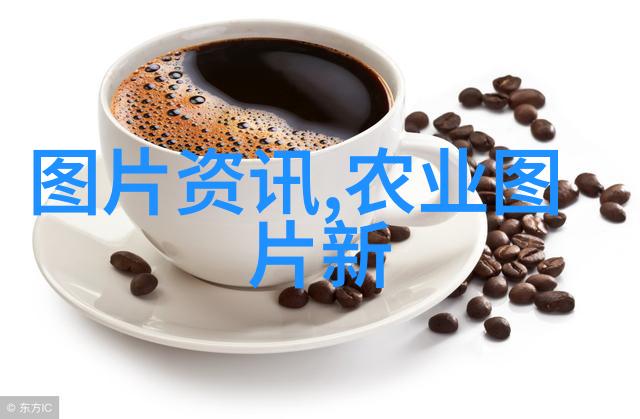 老师的兔子揭秘水好多动漫APP背后的温馨故事