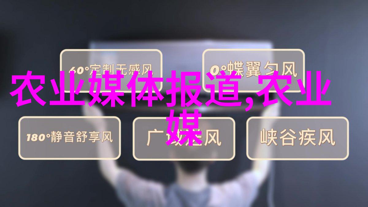 农村养殖高价值易销售品种优质蛋鸡有机蔬菜黑猪肉
