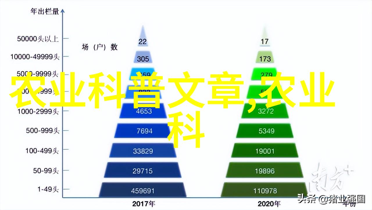 大棚投资风险与回报分析评估长期收益与初期投入的平衡点
