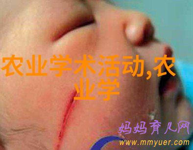 蝴蝶效应两条平行命运的交错