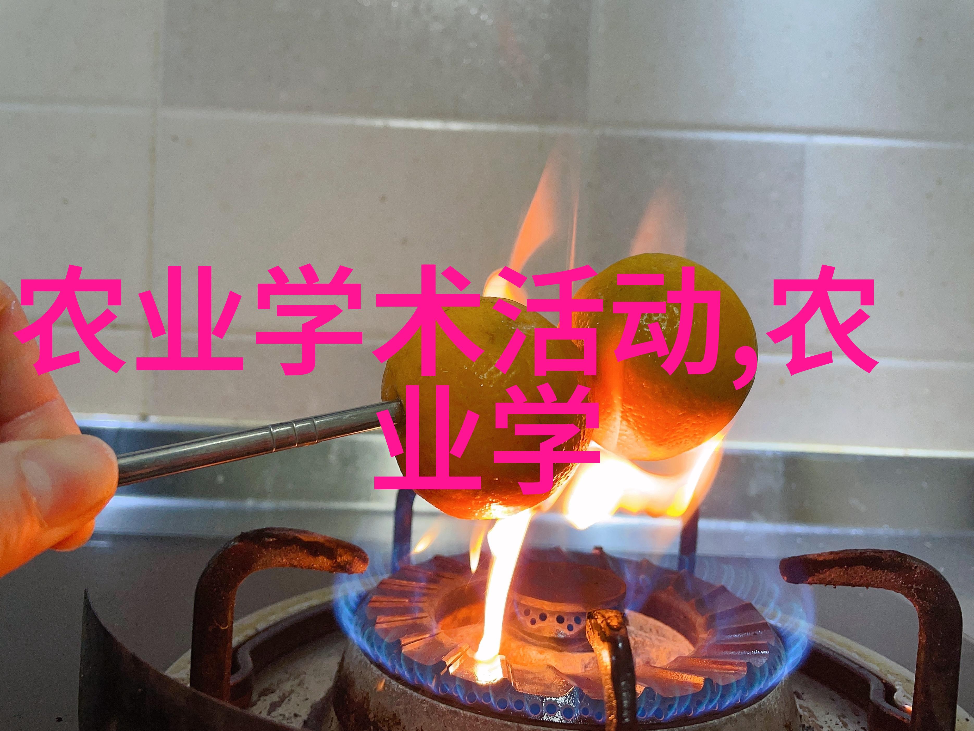 白色珍珠的守护者白玉蜗牛故事集