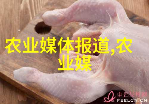 公交车站最后一排的秘密玩家