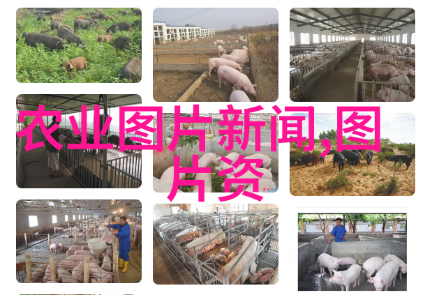 从无到有从小到大如何有效实施免费苗种植回收计划