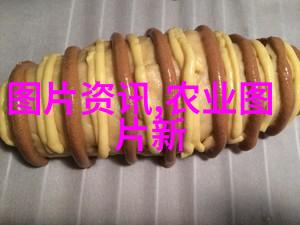 苹果的故事一颗果实的奇妙旅程
