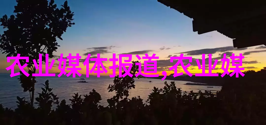 最耐阴的十大室内蔬菜我来教你怎么在阴凉里也能种出超级美味的蔬菜