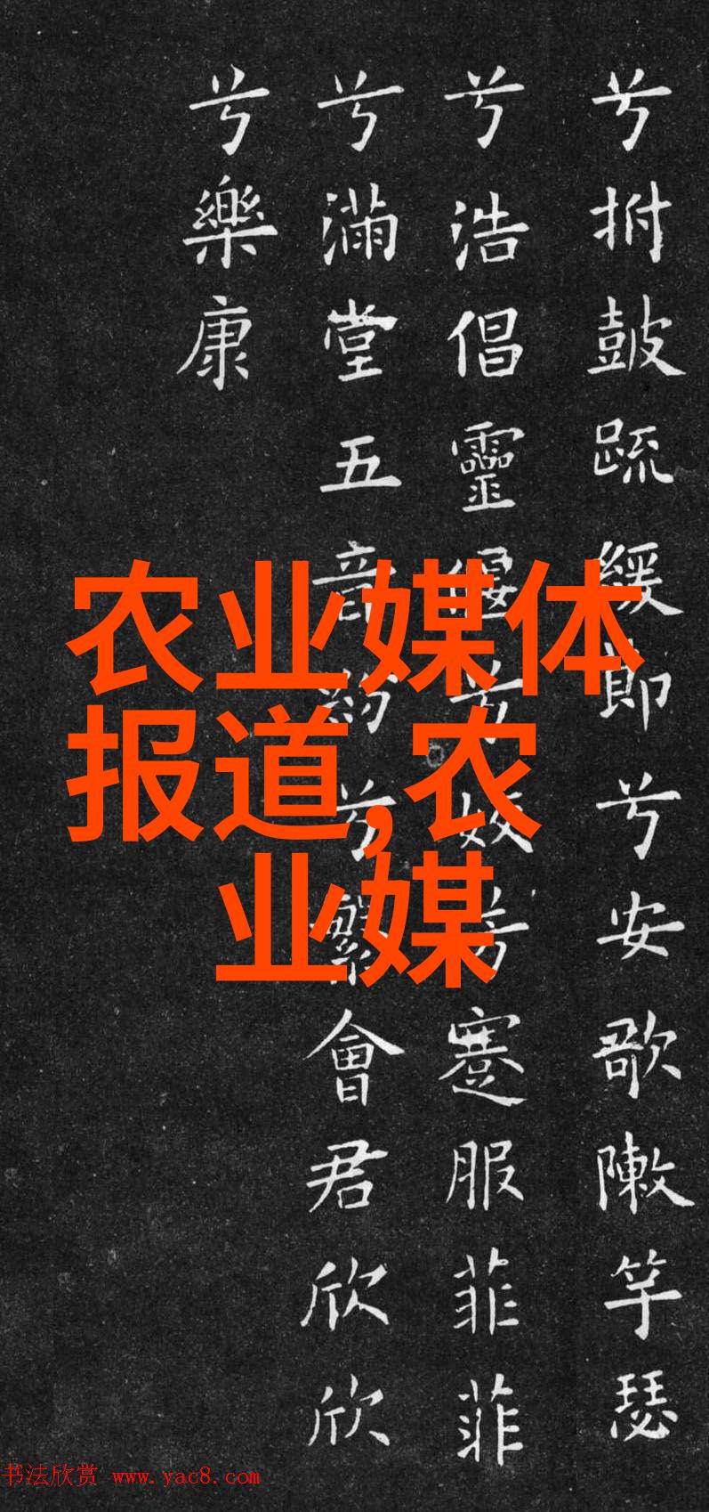 金线莲栽培艺术种植技巧与养护秘诀