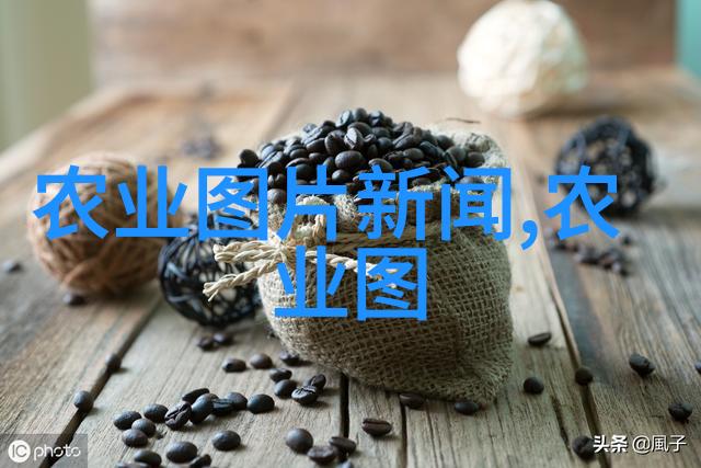 土地种植高回报作物财源滚滚的赚钱秘籍