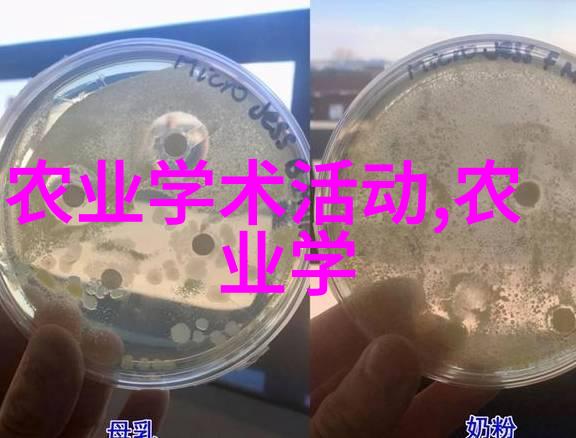 冬季美食-雪菜的香探索冬日蔬菜的秘密