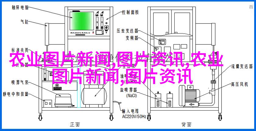 西湖长珍珠