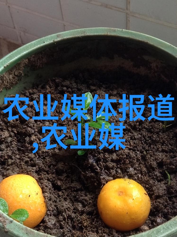 石菖蒲栽培艺术揭秘其种植技巧与适宜区域