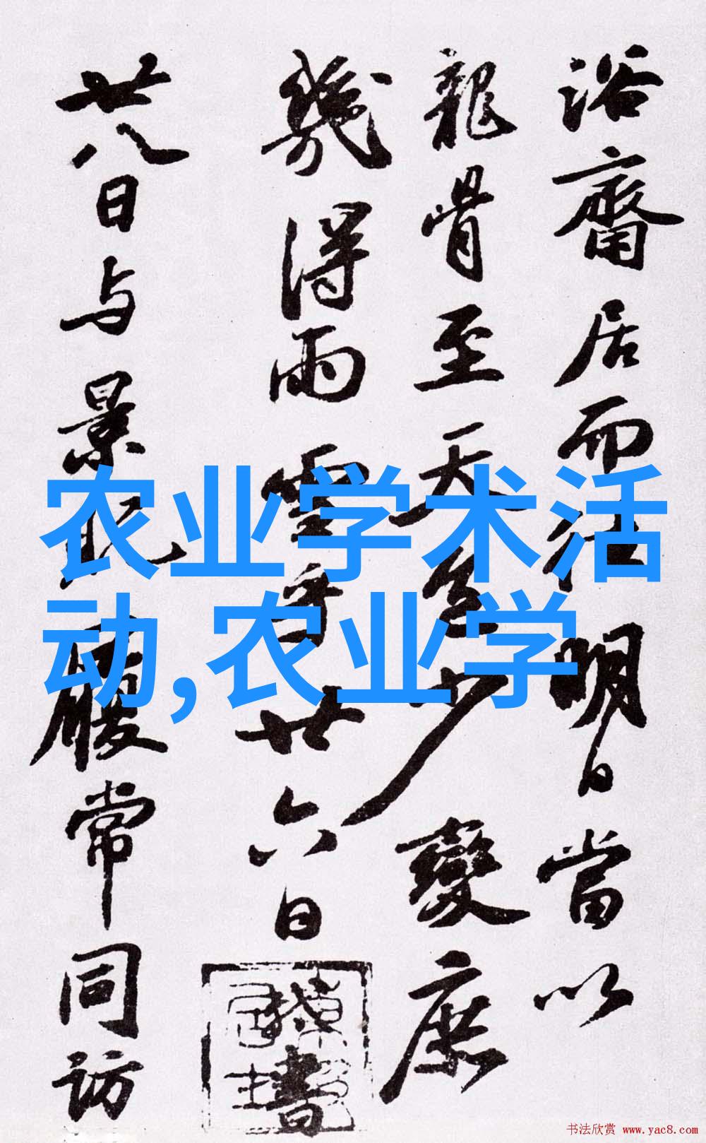 花卉园艺管理技巧与经验分享
