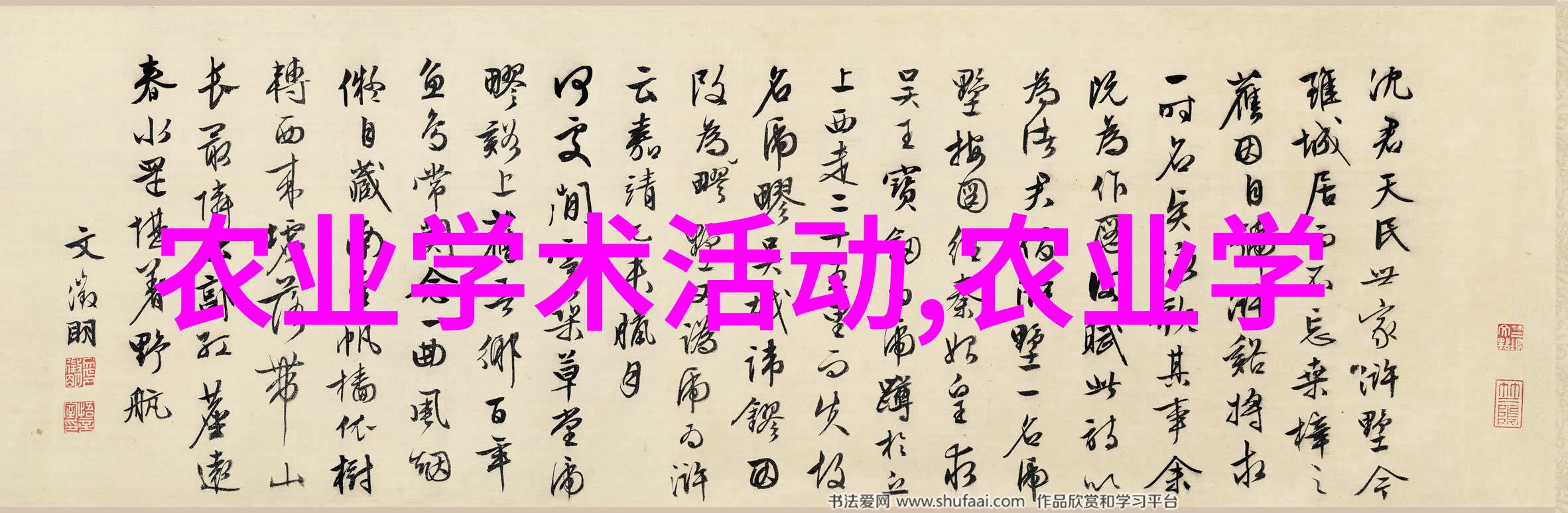 家中水培蔬菜的误区与解决之道