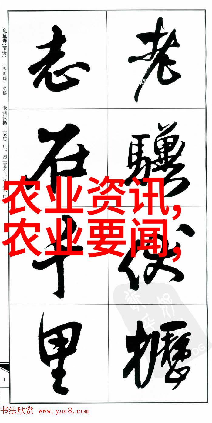 茶树叶片的独特魅力茶树叶片的生长习性颜色变化和香气释放