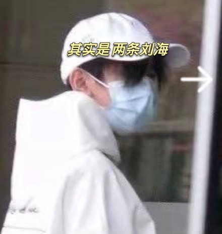公司寻找药材种植合作企业与农户共赢的药草种植项目