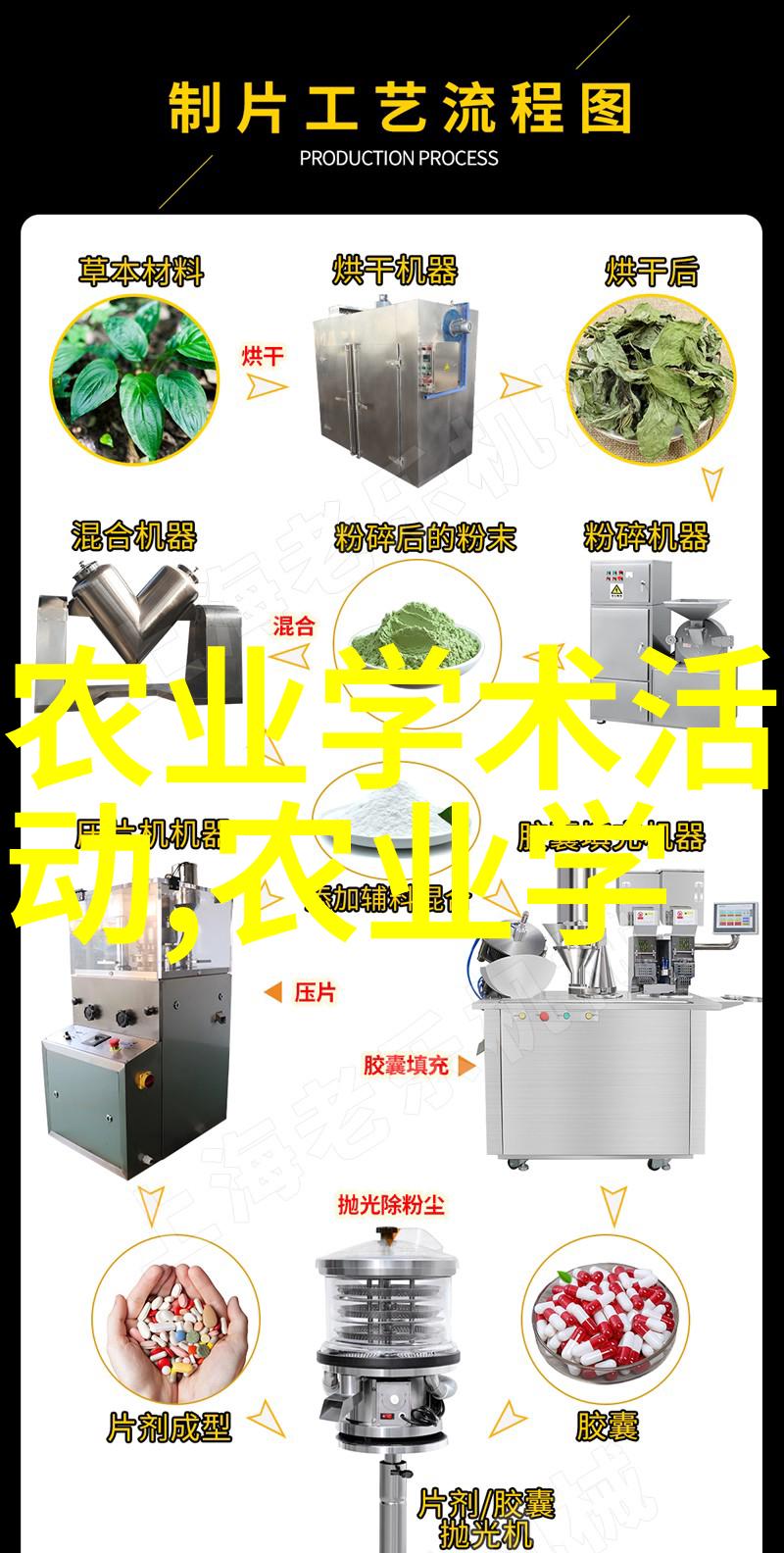 果树种植-选择与照顾最易于栽培的10种家园佳果