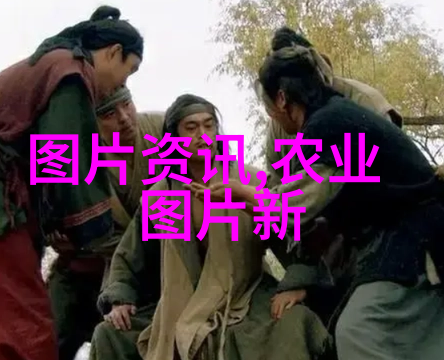 绿意盎然的甘蓝蔬菜园中的翠绿宝石