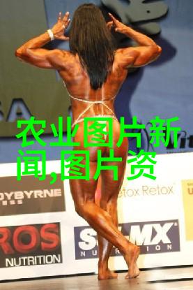 蝗虫养殖技术全解析从种植到饲养提高效益的秘诀