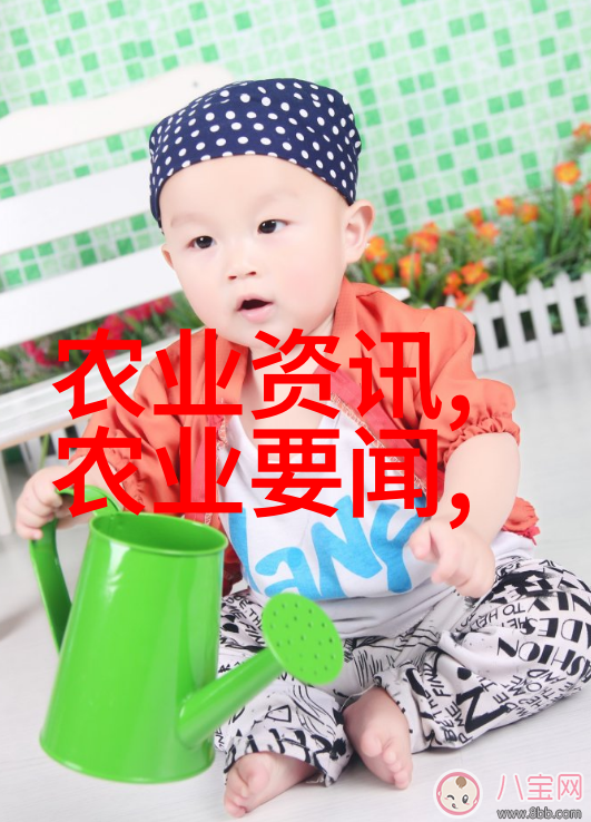 中国水果网我是怎么在中国水果网上发现超级甜的番茄的