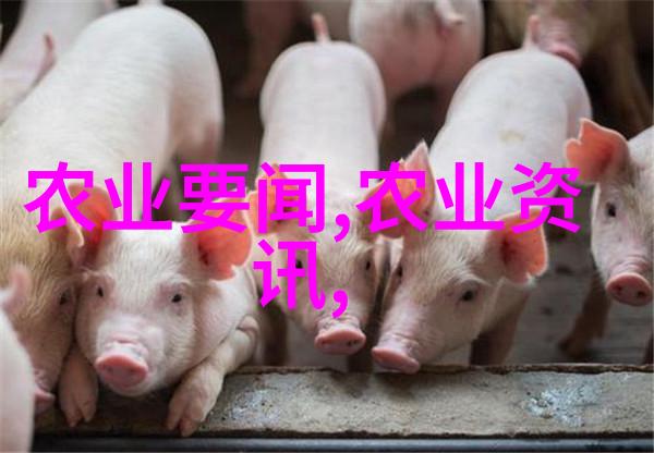 水产养殖资讯新技术如何提升鱼类生长效率