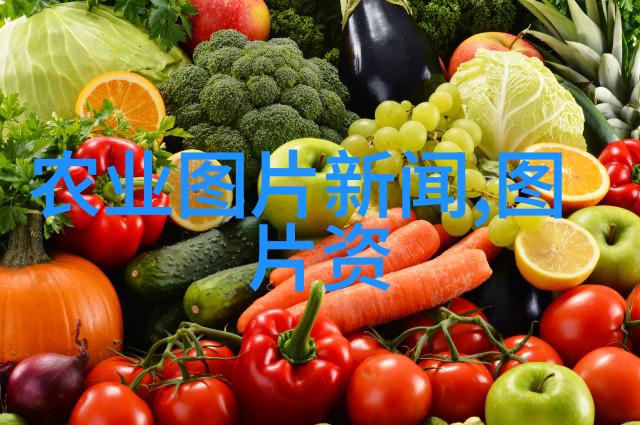 中医药种植-多样化的草本宝库探索中药材种苗的多样性与应用