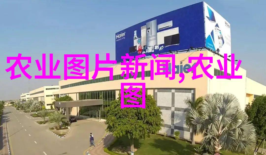 美国红枫树的10公分珍品园艺爱好者的梦想收藏