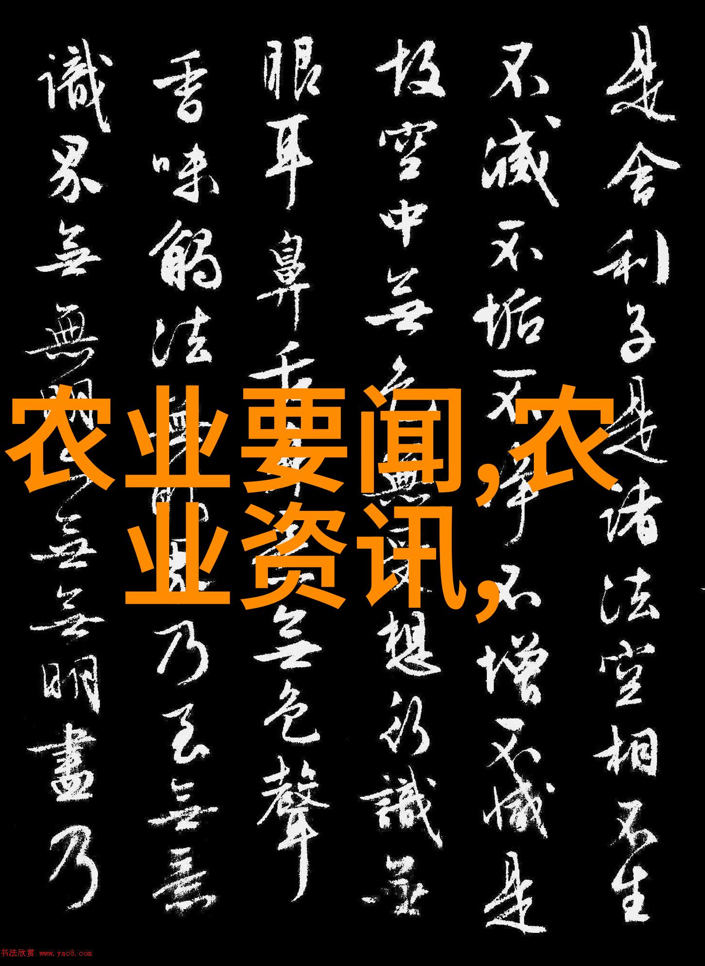 直径60公分的广玉兰价格我朋友要买个花瓶想知道这种小巧的广玉兰怎么卖