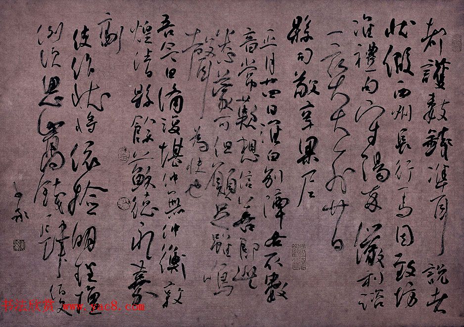 花椒树种植成本家庭园艺中的经济高效选择