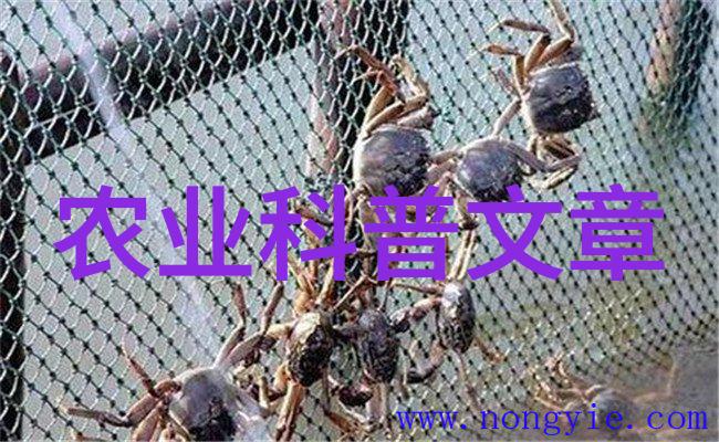 农业学术报告_农业研究报告_农业学术报告心得体会