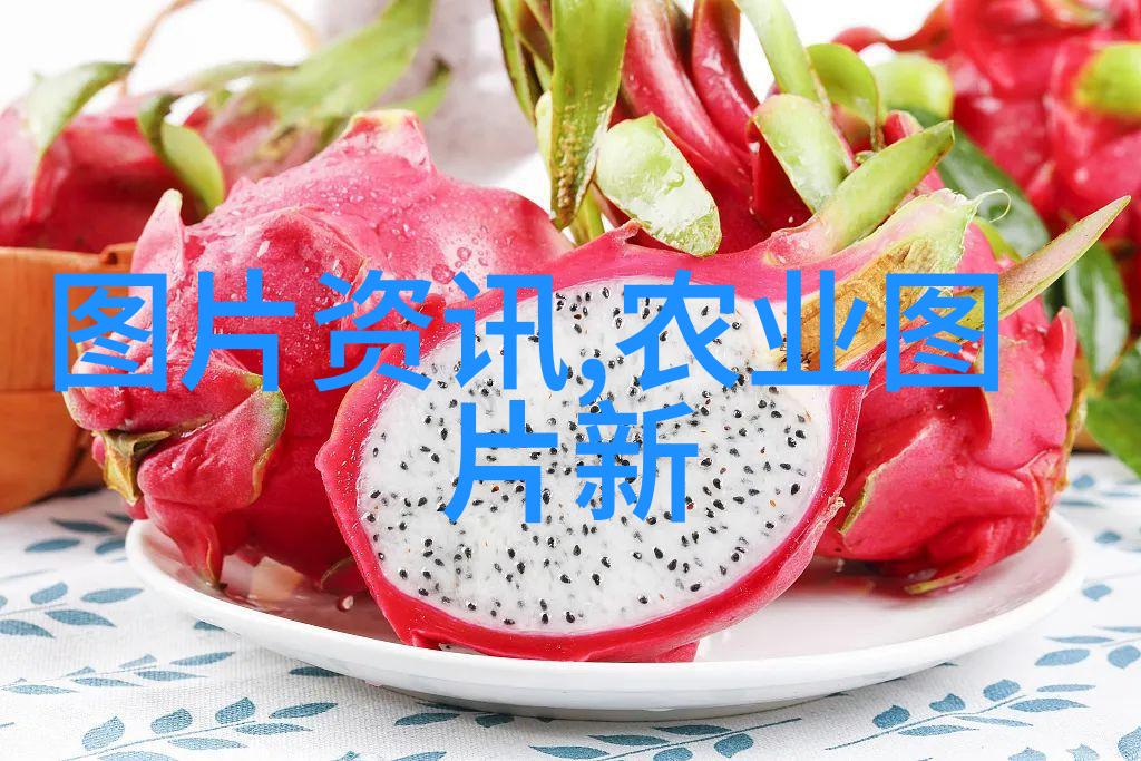 江西宝贵草本药材珍贵的植物医学资源